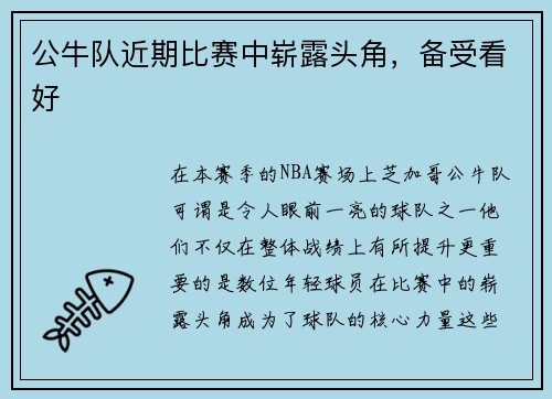 公牛队近期比赛中崭露头角，备受看好