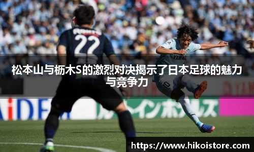 B体育bsports