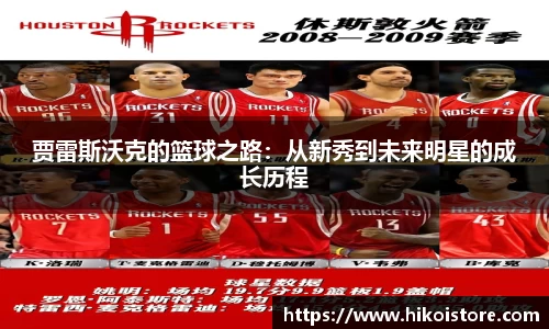 B体育bsports