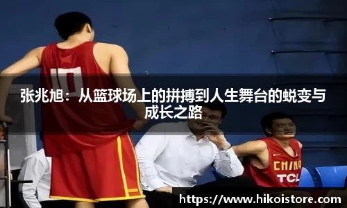 bsports官网入口